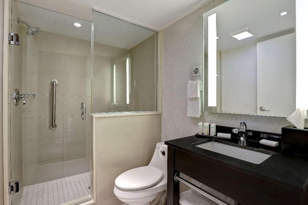 Embassy Suites by Hilton Niagara Falls Fallsview, photo 5