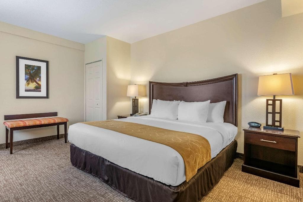 Comfort Suites Maingate East, photo 2