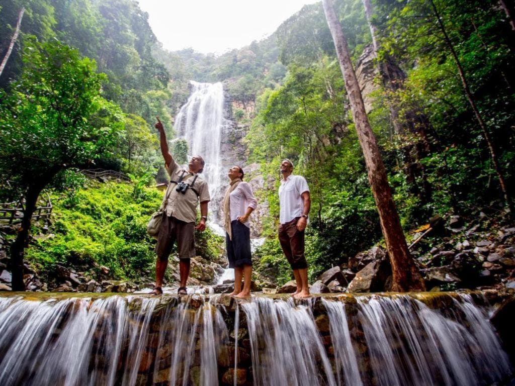 The Datai photo 5
