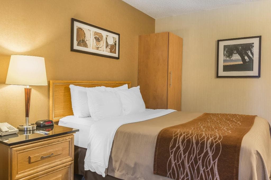 Comfort Inn Cobourg photo 5