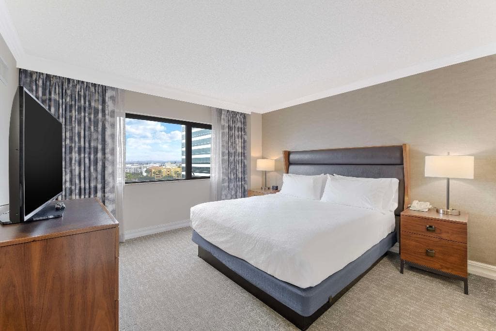 Embassy Suites by Hilton Anaheim/Orange, photo 3