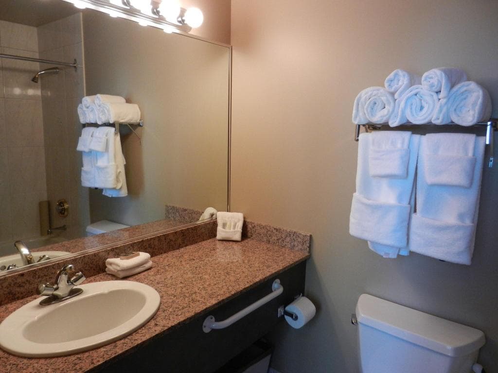 Rosedale on Robson Suite, photo 3