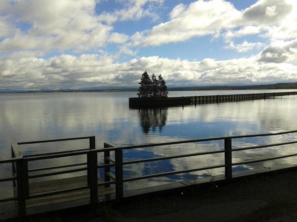 Grant Village, photo 5