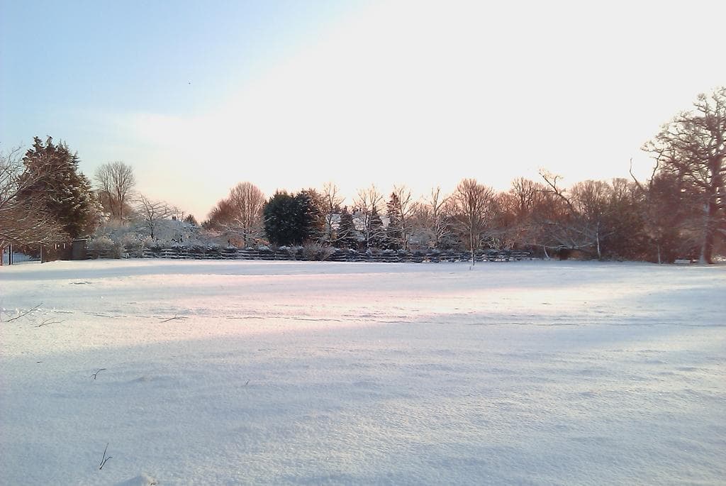 Grovefield House, photo 4