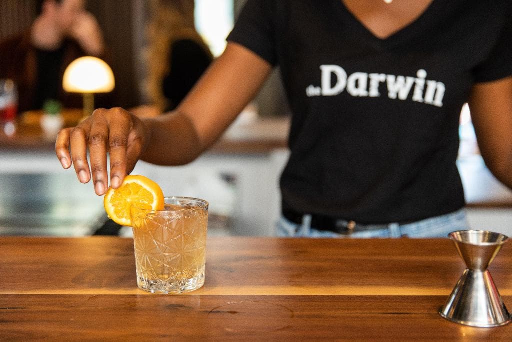 The Darwin, photo 5