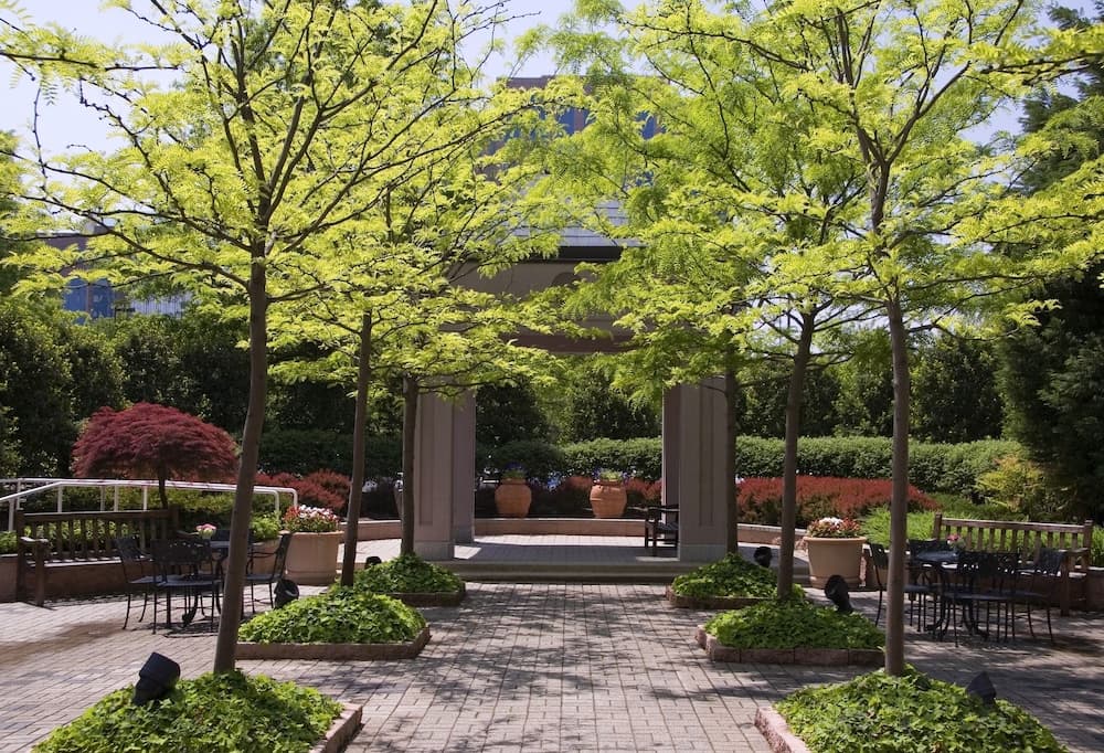Hyatt Regency Dulles, photo 1