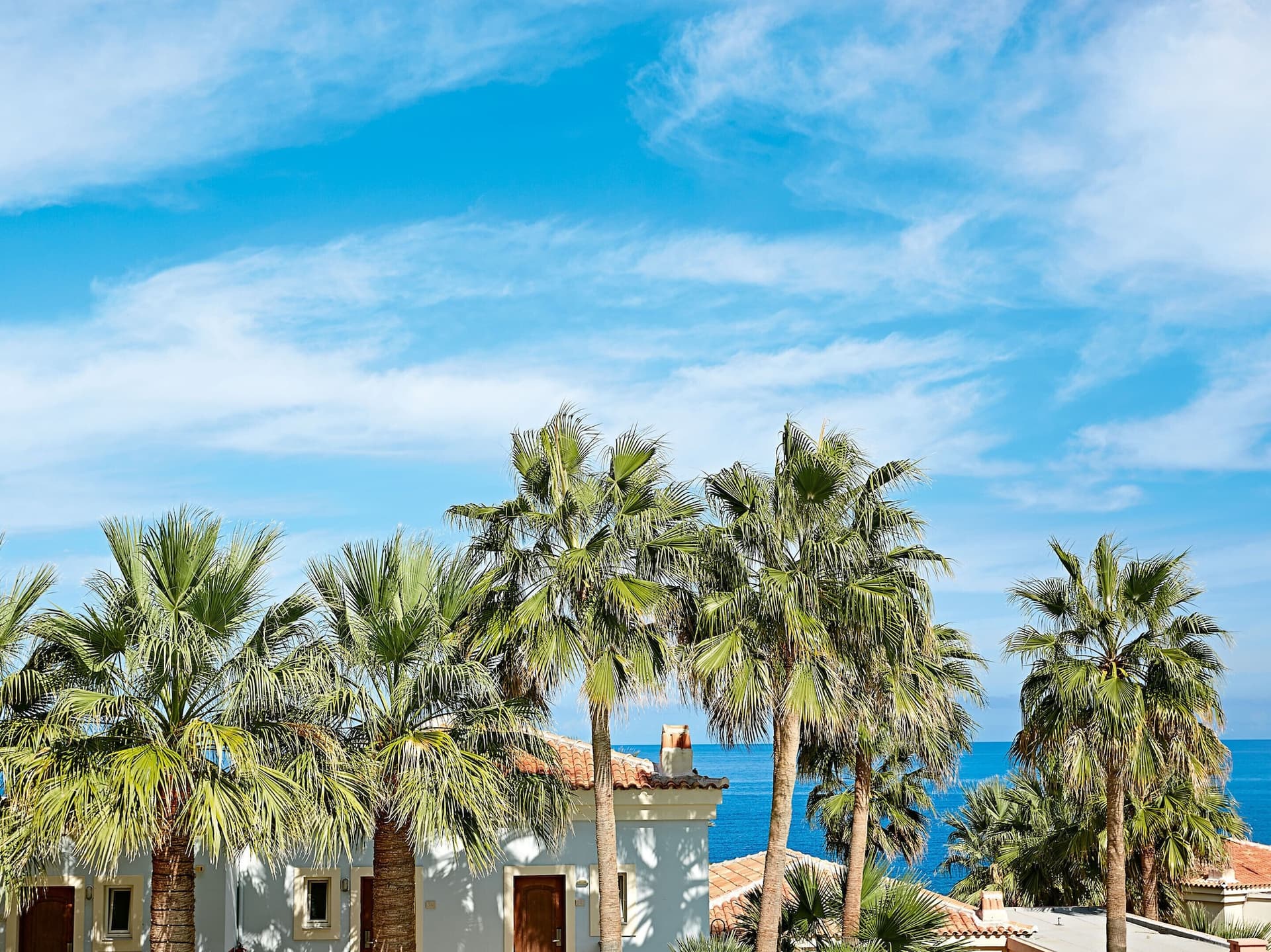 Grecotel Marine Palace & Aqua Park photo 1