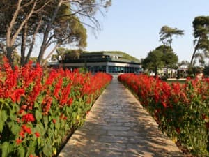 Sol Tropikal Durres, photo 1