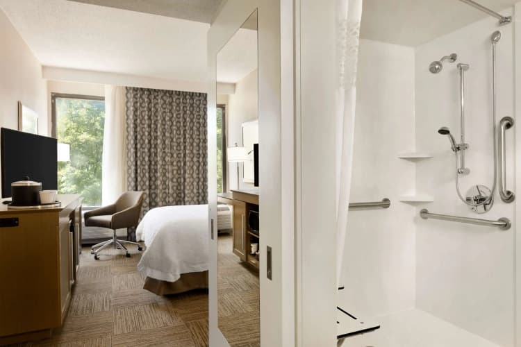 Hampton Inn Atlanta-Buckhead, photo 4