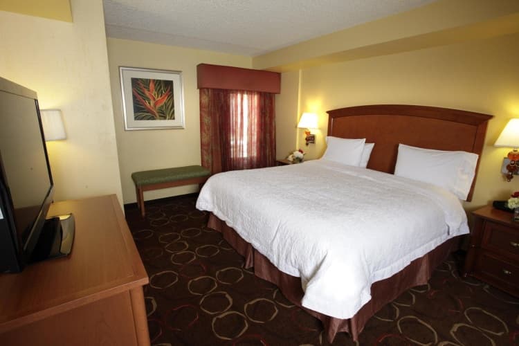Hampton Inn Tropicana, photo 5