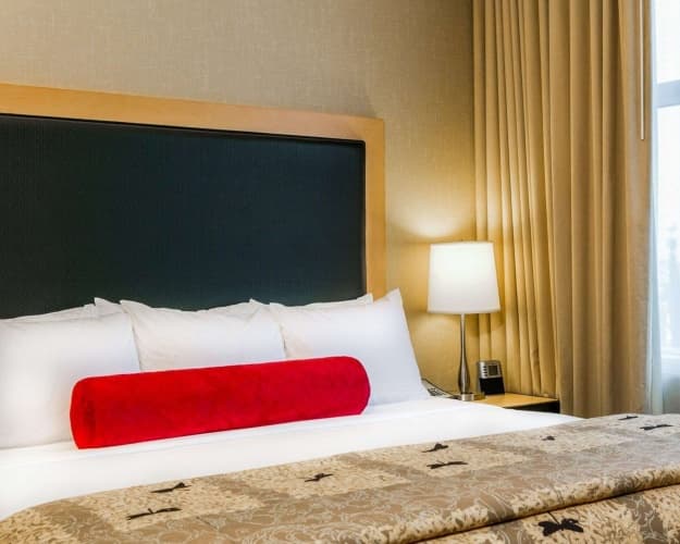 Cambria Suites Denver Airport, photo 4
