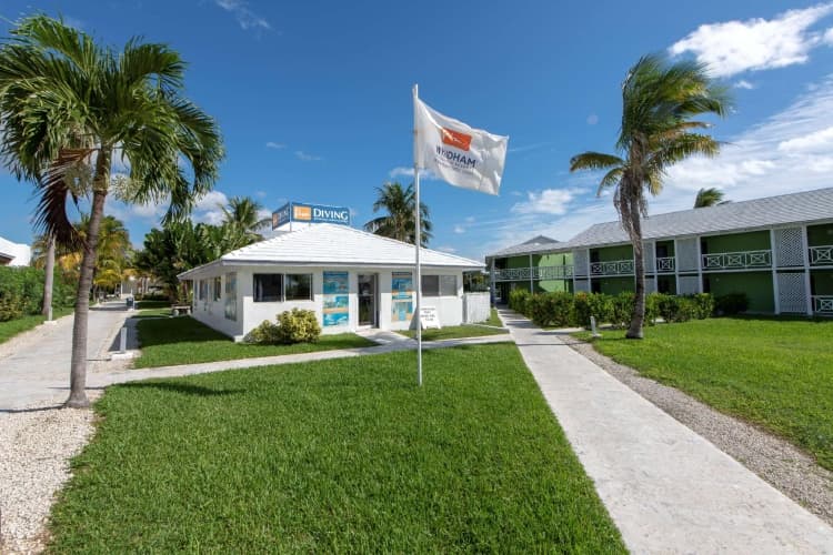 Viva Fortuna Beach by Wyndham, A Trademark All Inclusive, photo 2