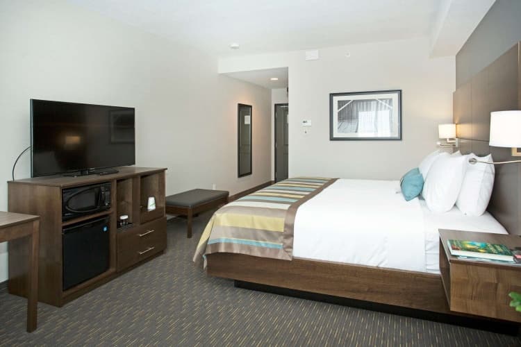 Wingate by Wyndham Calgary Airport, photo 3