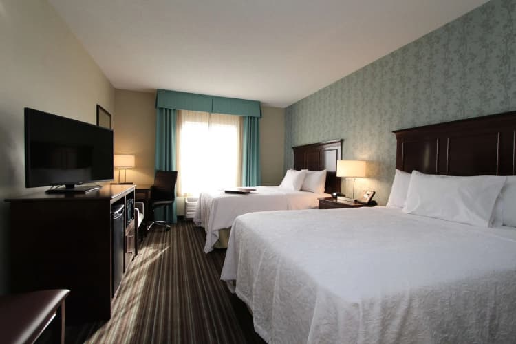 Hampton Inn & Suites by Hilton St. John's Airport, photo 4