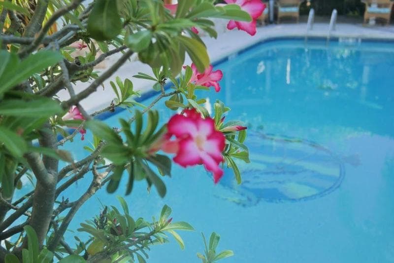 Heron House - Adult Only, photo 1