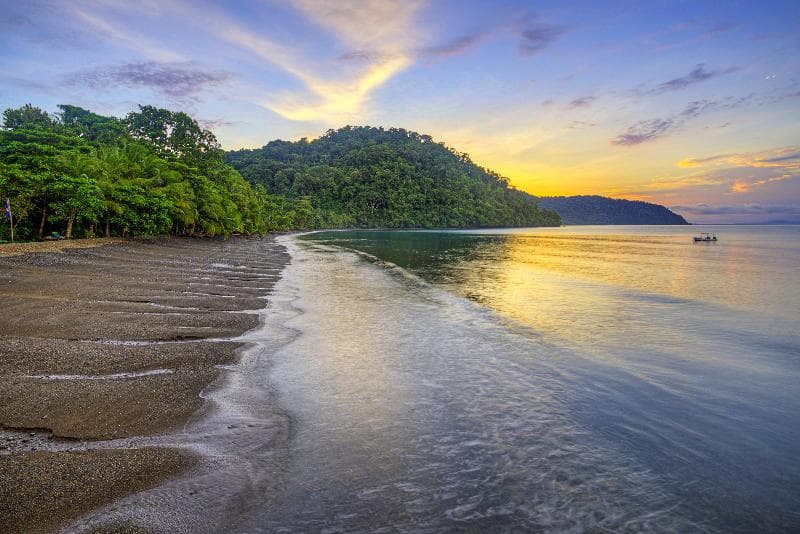 Playa Nicuesa Rainforest Lodge, photo 1