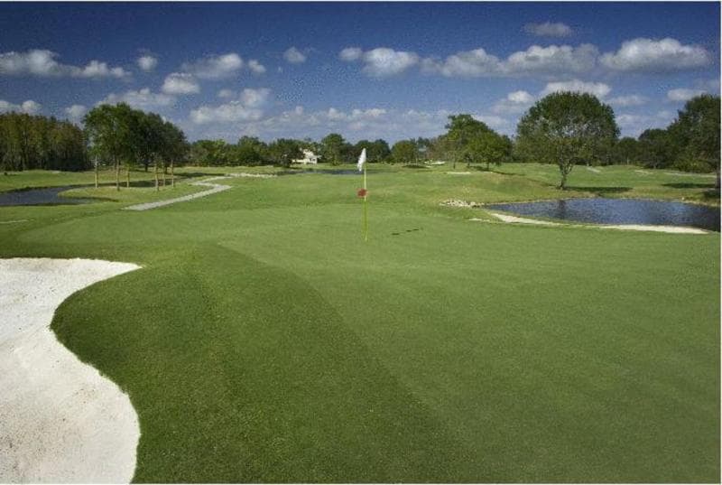Saddlebrook Resort Tampa, photo 1