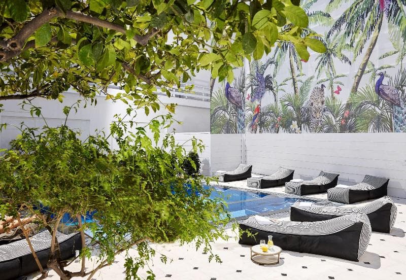 Vasia Boulevard - Adults Only, photo 1